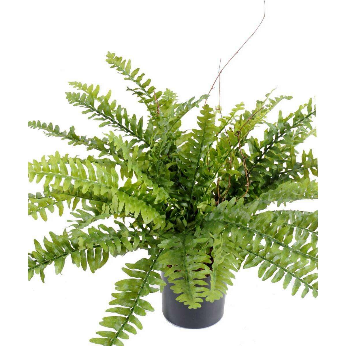 Plante artificielle Fougère Boston en pot - décoration d'intérieur - H.50cm vert