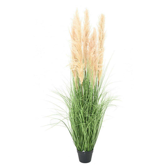 Plante artificielle Graminée Carex - 6 plumeaux naturels - H.150cm vert