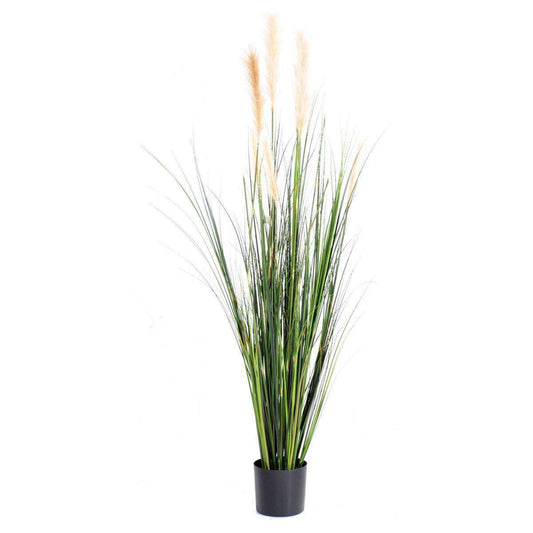 Plante artificielle Graminée Carex GF - intérieur - H. 180 cm vert