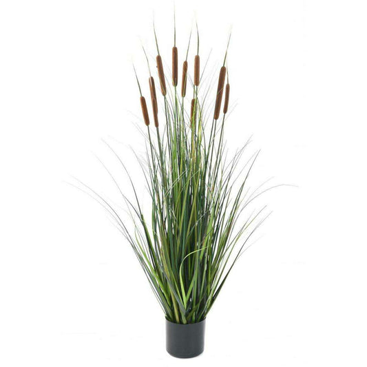 Plante artificielle Graminée Roseau Cattail en pot - décoration d'intérieur - H.120cm