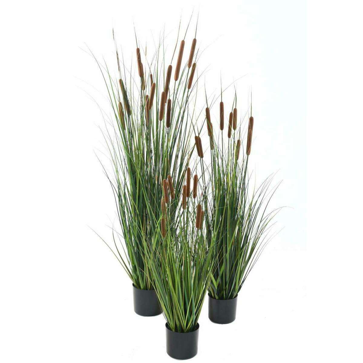 Plante artificielle Graminée Roseau Cattail en pot - décoration d'intérieur - H.120cm