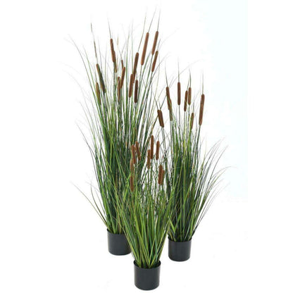 Plante artificielle Graminée Roseau Cattail en pot - décoration d'intérieur - H.120cm