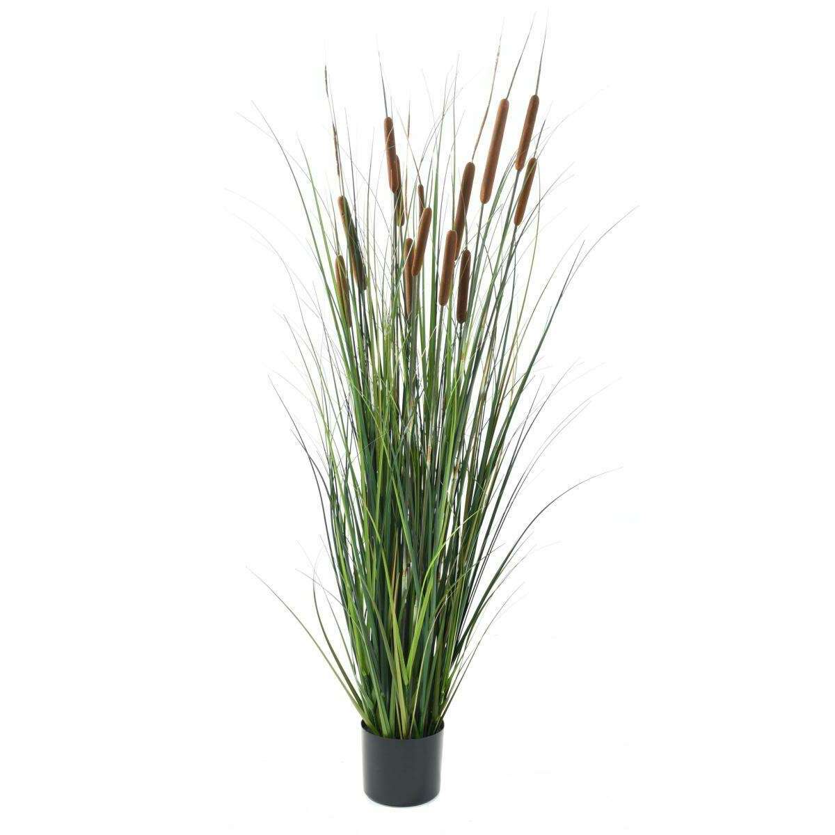 Plante artificielle Graminée Roseau Cattail en pot - décoration d'intérieur - H.150cm