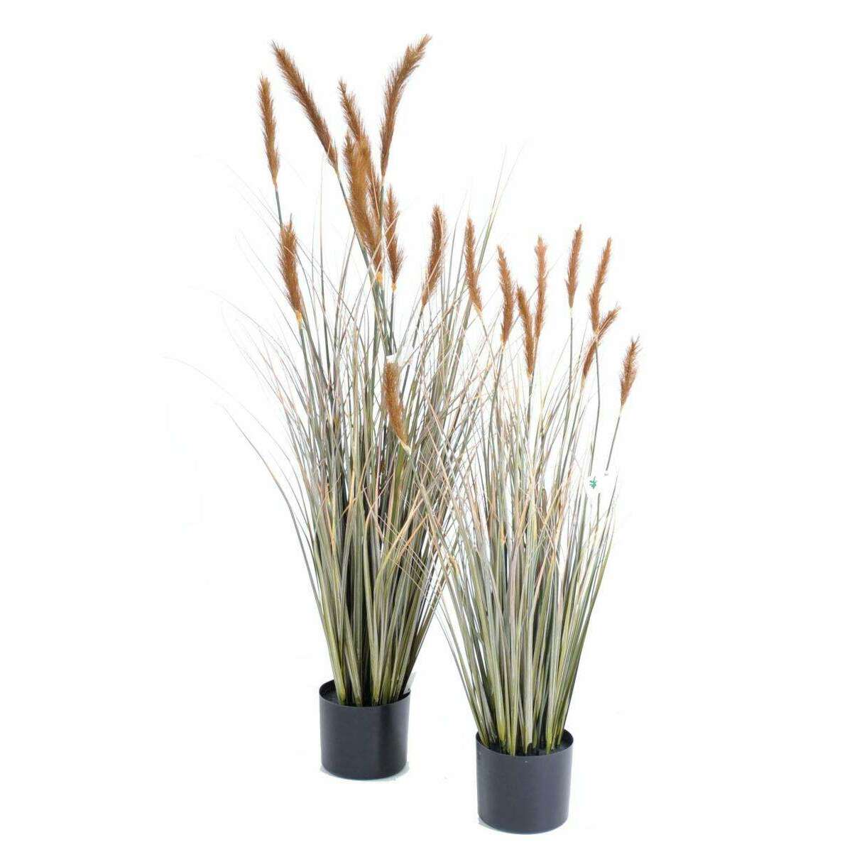 Plante artificielle Graminée Vulpin des champs Foxtail en pot - intérieur - H.120cm Brun