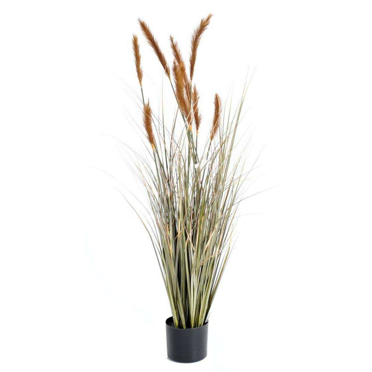 Plante artificielle Graminée Vulpin des champs Foxtail en pot - intérieur - H.120cm Brun