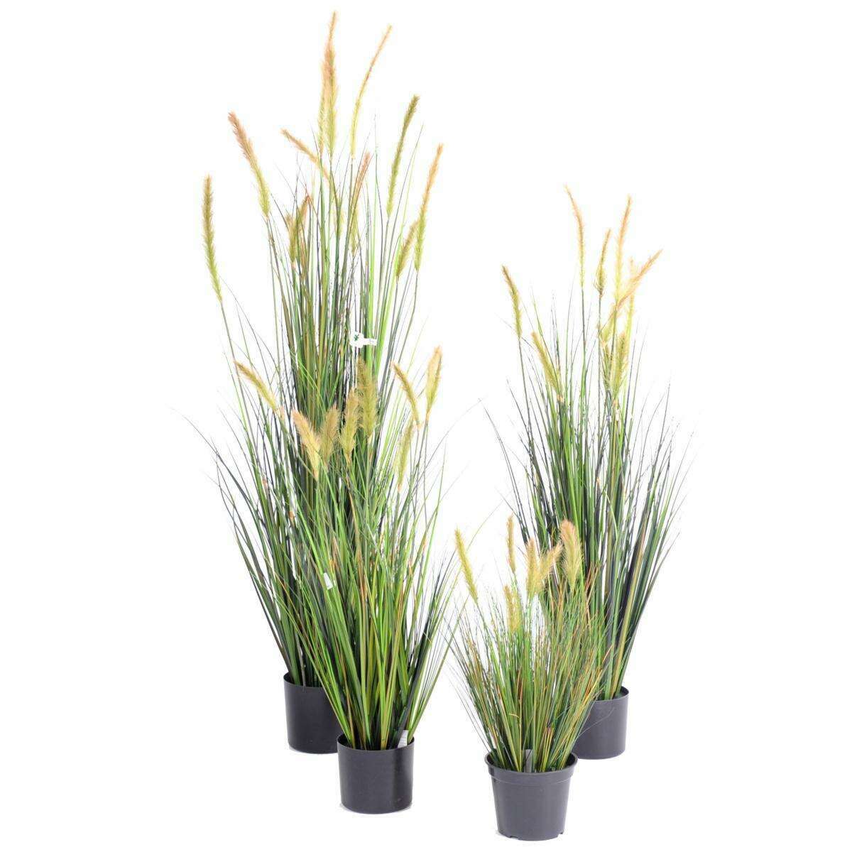 Plante artificielle Graminée Vulpin des champs Foxtail en pot - intérieur - H.120cm