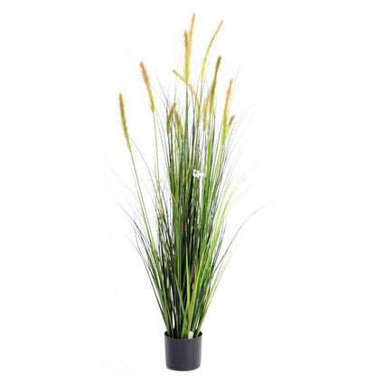 Plante artificielle Graminée Vulpin des champs Foxtail en pot - intérieur - H.150cm