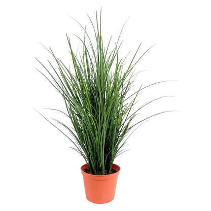 Plante artificielle Herbe fine en pot - intérieur extérieur - H.60cm vert