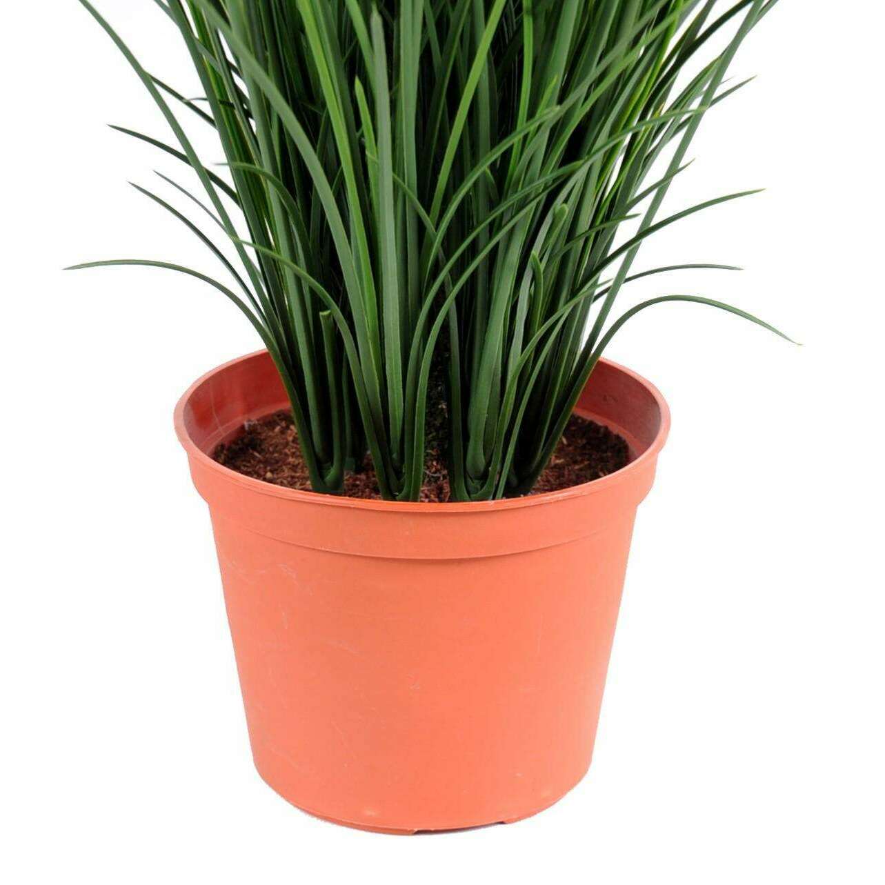 Plante artificielle Herbe fine en pot - intérieur extérieur - H.60cm vert