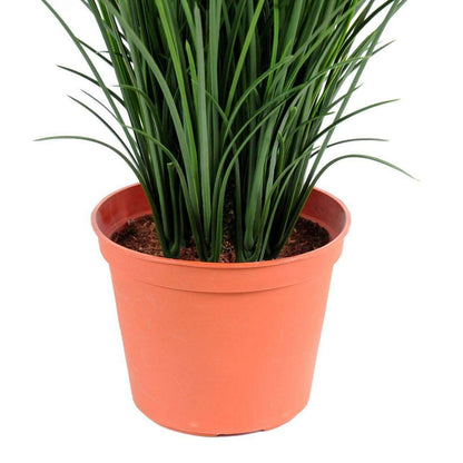 Plante artificielle Herbe fine en pot - intérieur extérieur - H.60cm vert