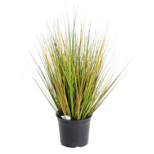 Plante artificielle Herbe Onion Grass GF - décoration d'intérieur - H.50cm vert jaune