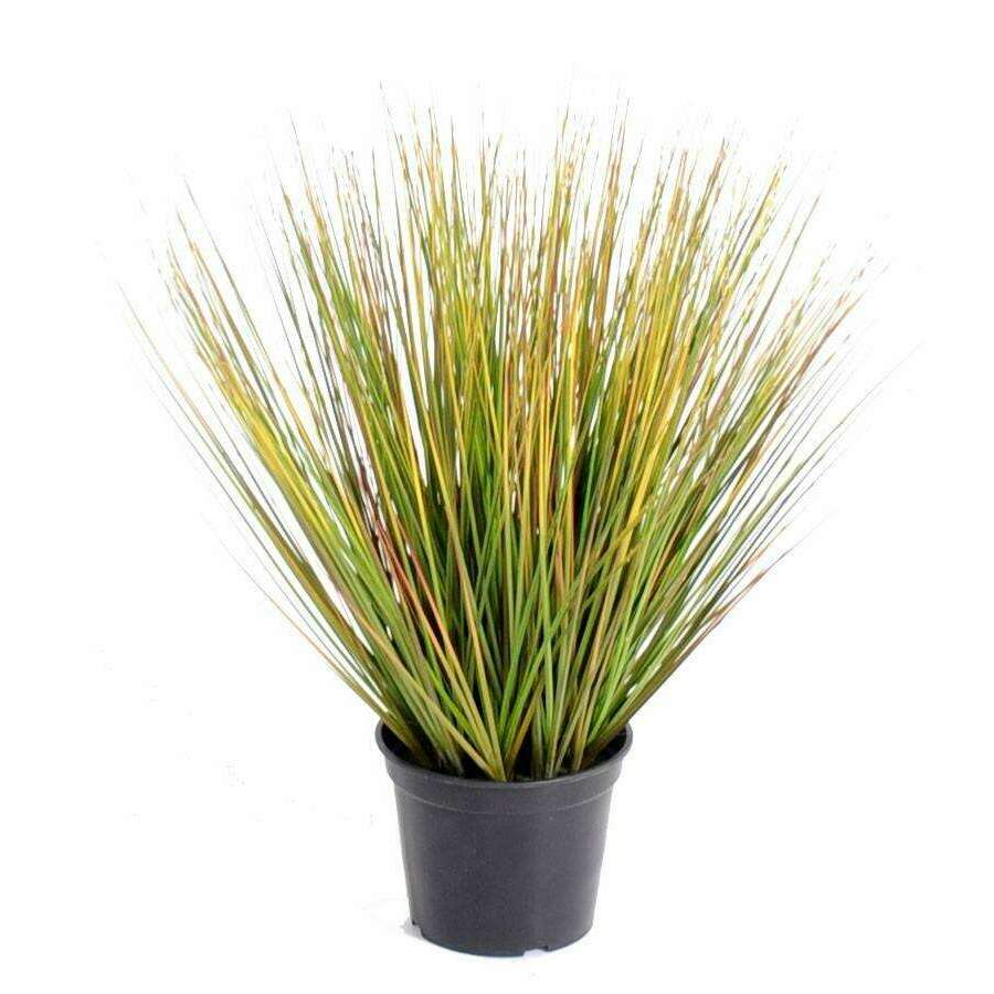 Plante artificielle Herbe Onion Grass Round - intérieur - H.60cm vert jaune