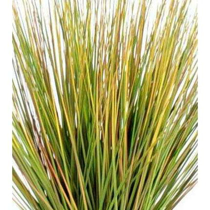 Plante artificielle Herbe Onion Grass Round - intérieur - H.60cm vert jaune