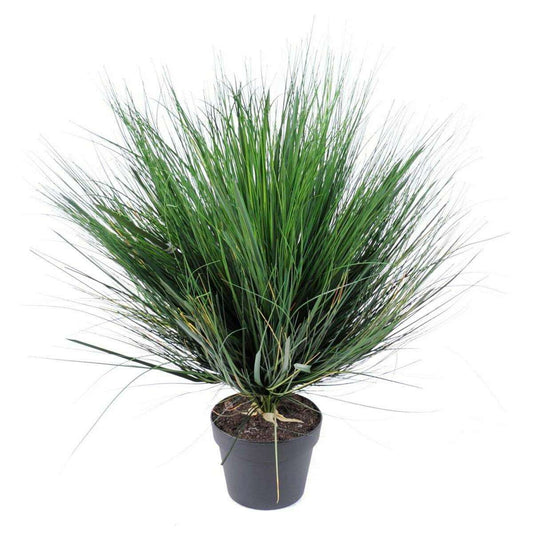 Plante artificielle Herbe Onion Grass Round en pot - intérieur - H. 75cm vert