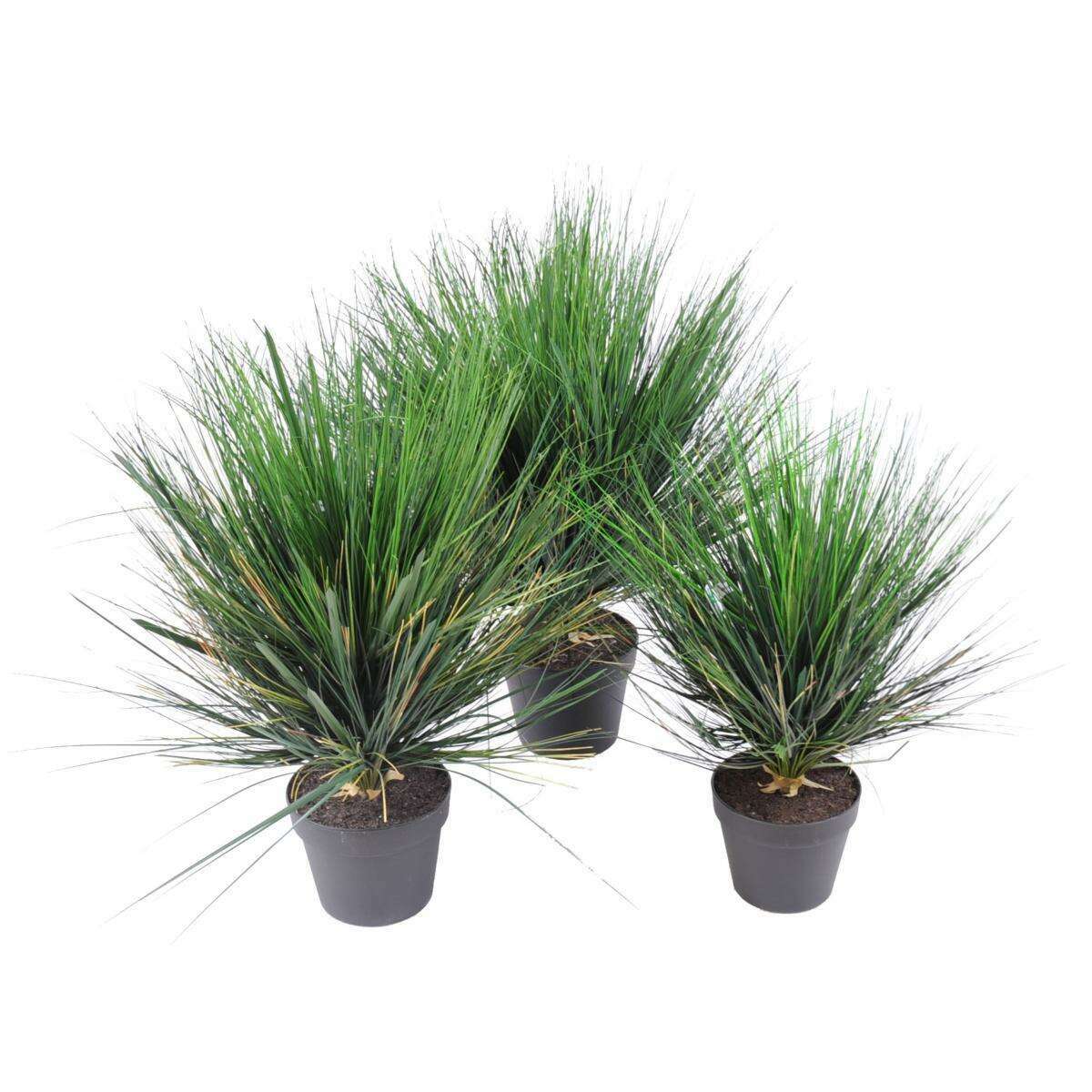 Plante artificielle Herbe Onion Grass Round en pot - intérieur - H. 75cm vert