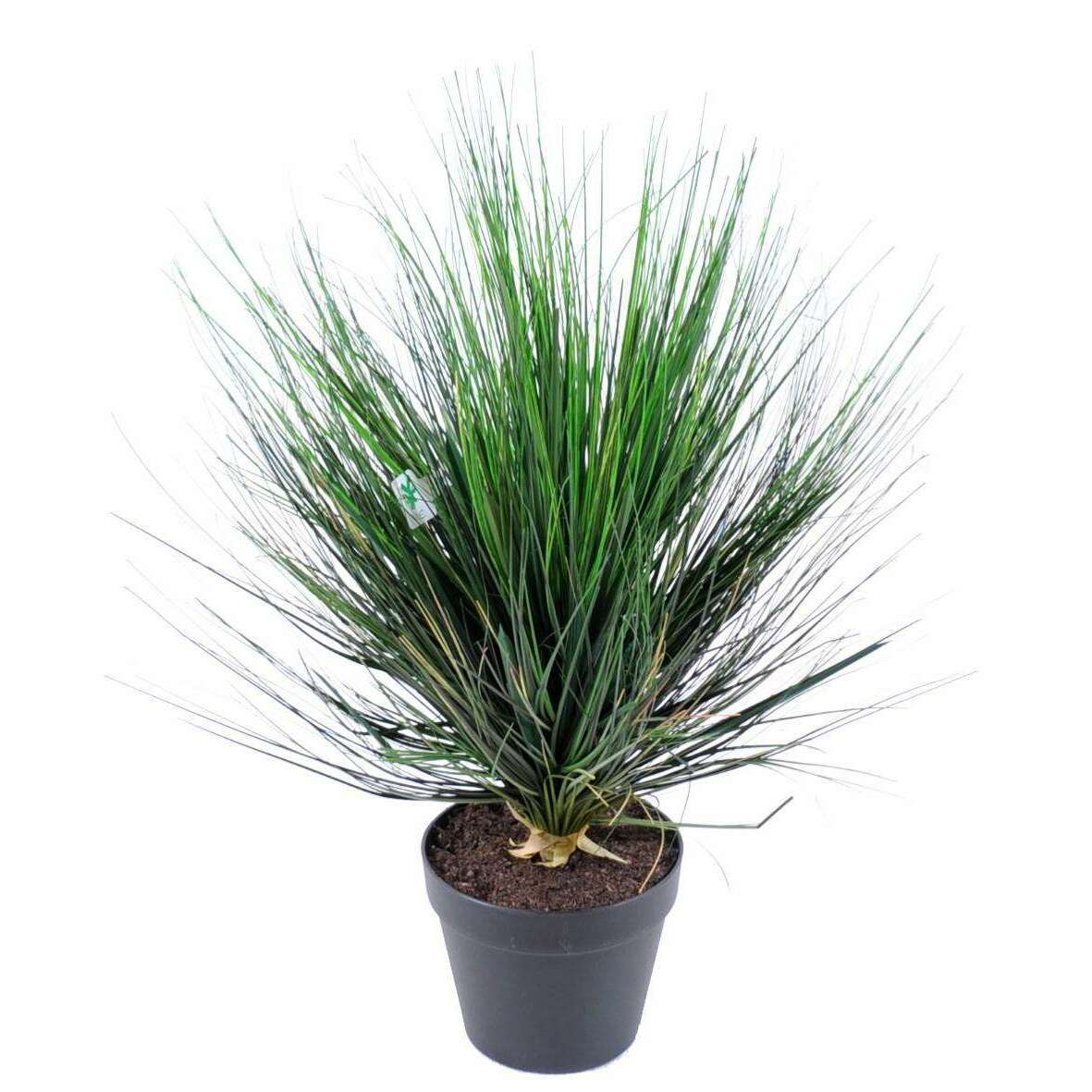 Plante artificielle Herbe Onion Grass Round en pot - intérieur - H.60cm vert