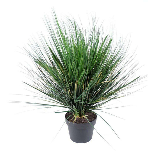 Plante artificielle Herbe Onion Grass Round en pot - intérieur - H.70cm vert