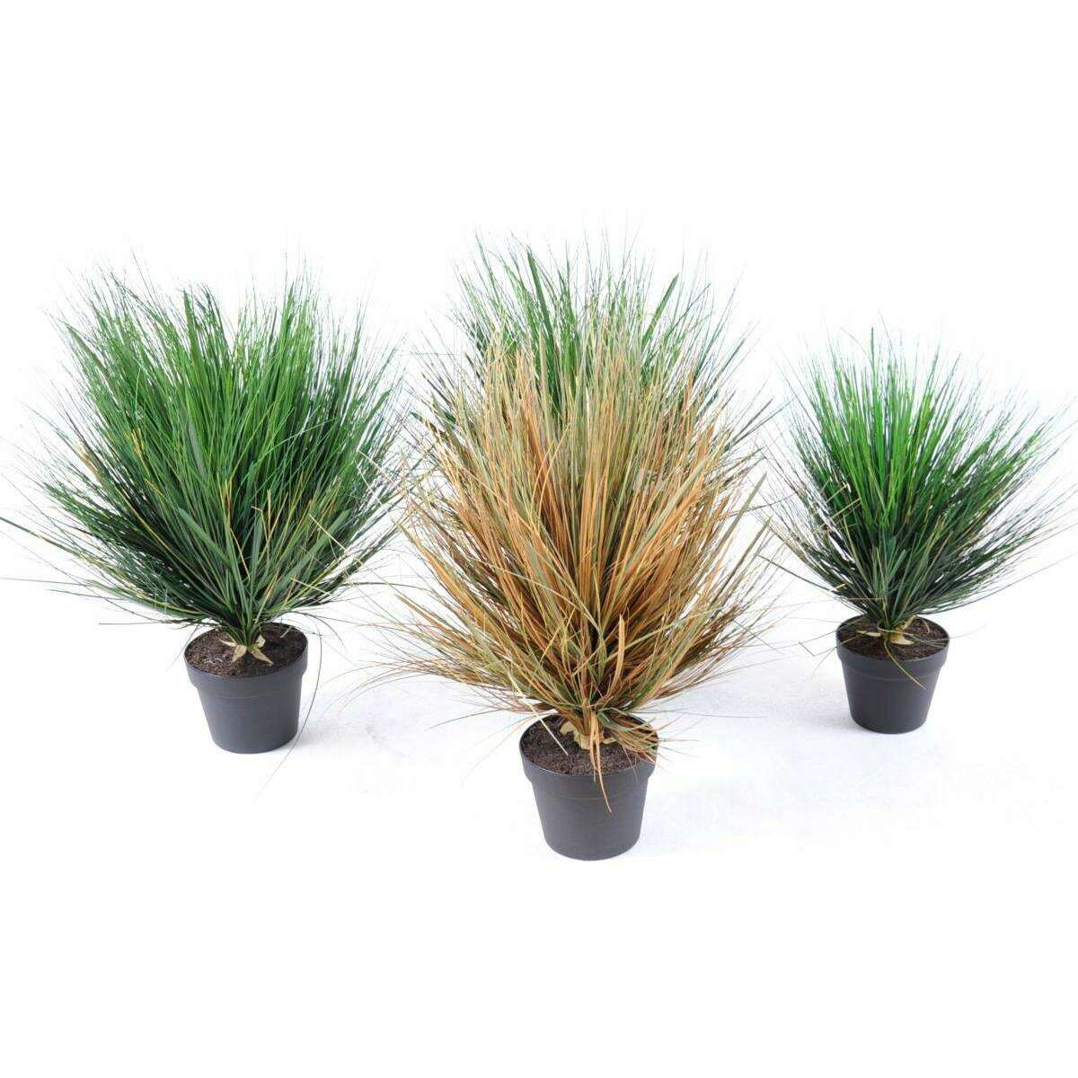 Plante artificielle Herbe sèche en pot - intérieur - H.70cm gris marron