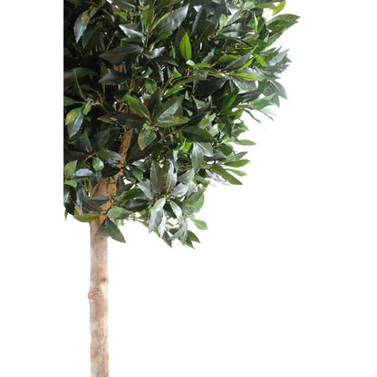 Plante artificielle Laurier boule luxe - topiaire jardin français - H.180cm