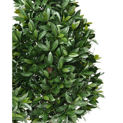 Plante artificielle Laurier Nobilis cône large - feuillage UV résistant - H.150cm