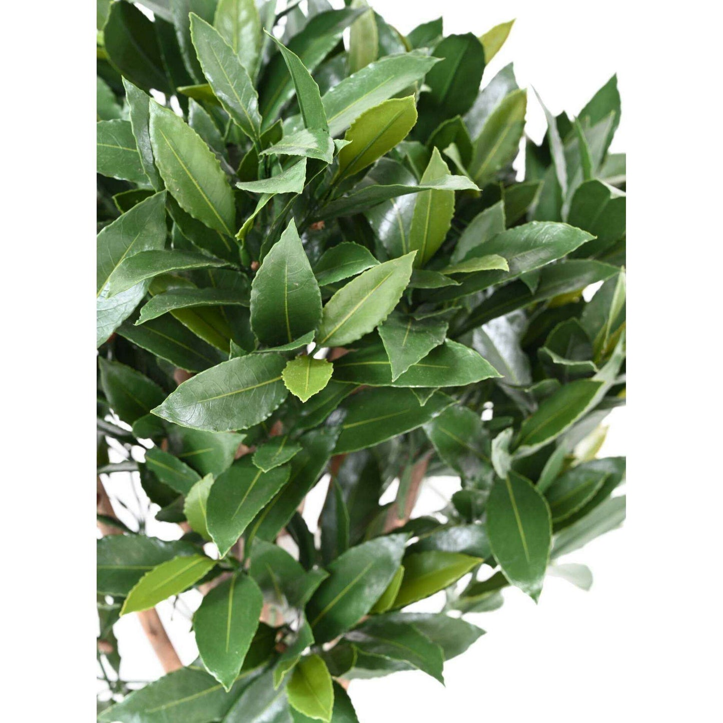 Plante artificielle Laurier Nobilis UV résistant - intérieur extérieur - H.130cm vert