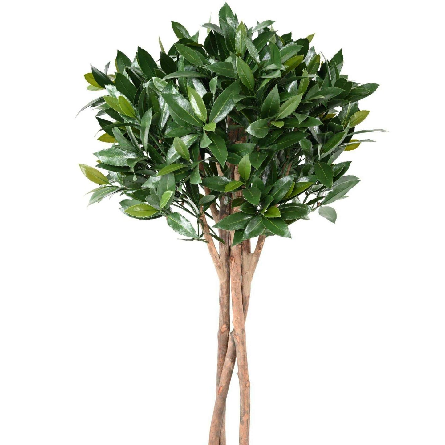 Plante artificielle Laurier Nobilis UV résistant - intérieur extérieur - H.130cm vert