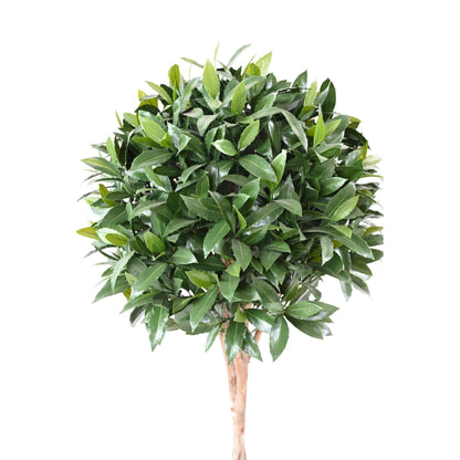 Plante artificielle Laurier Nobilis UV résistant - intérieur extérieur - H.145cm vert