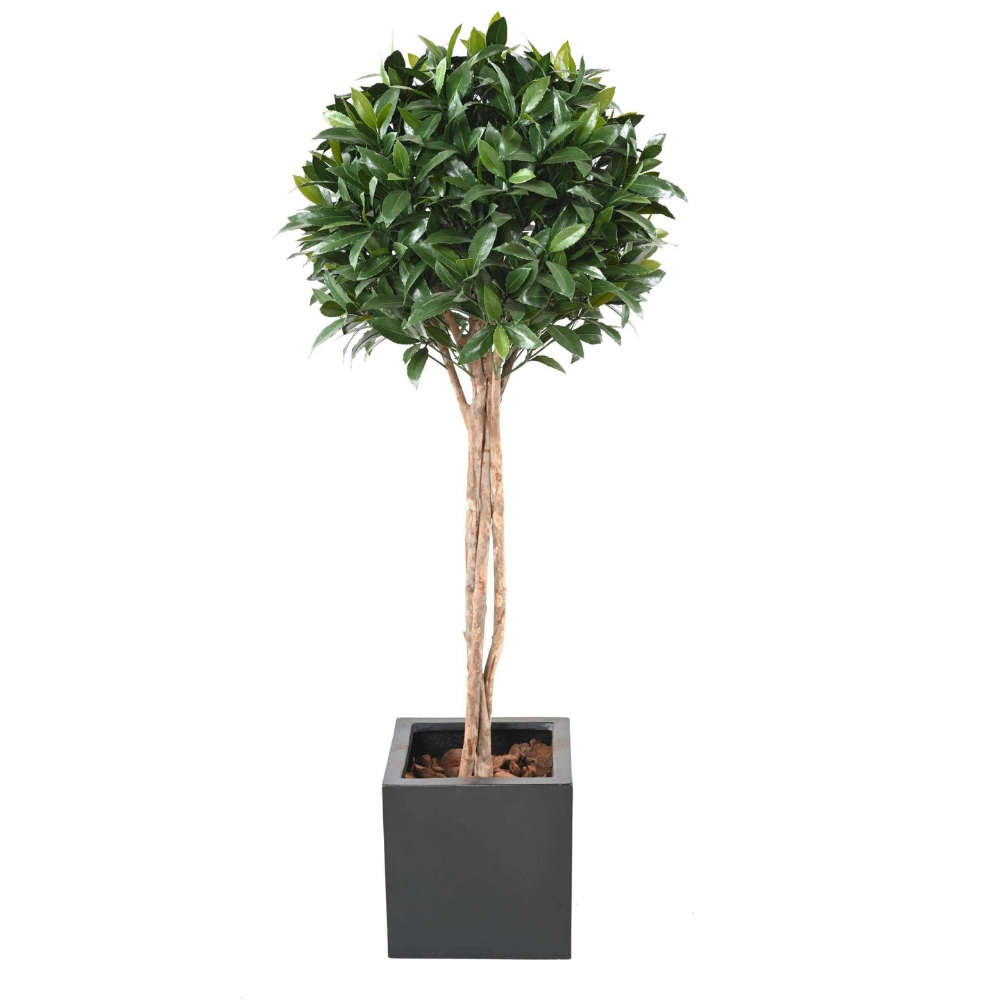 Plante artificielle Laurier Nobilis UV résistant - intérieur extérieur - H.145cm vert