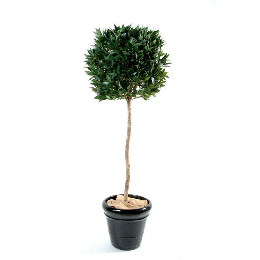 Plante artificielle Laurier tige boule UV résistant - intérieur extérieur - H.150cm vert