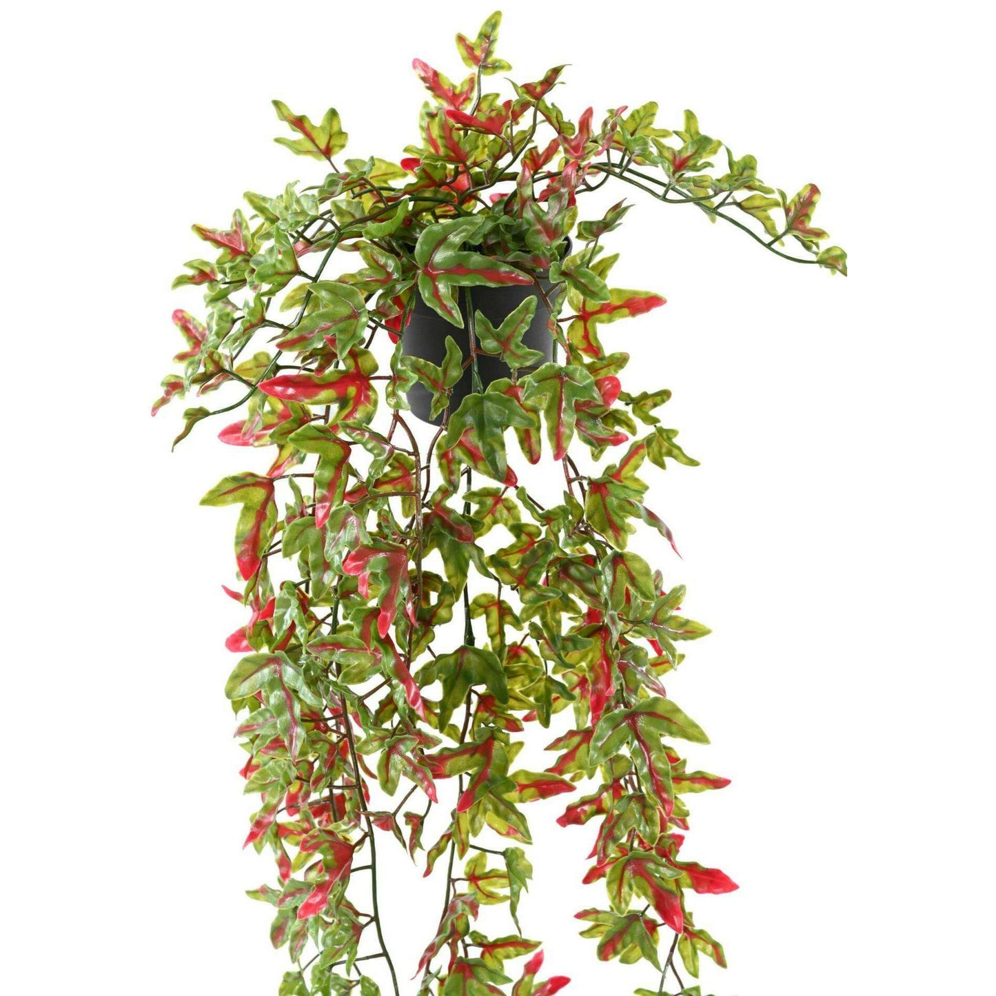 Plante artificielle Lierre en pot - Plastique UV extérieur - H.70cm vert rouge