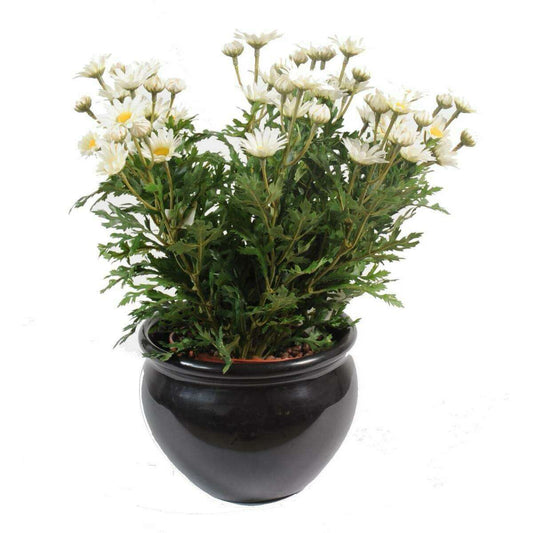 Plante artificielle Marguerite Anthemis - plante d'intérieur - H.40cm Blanc