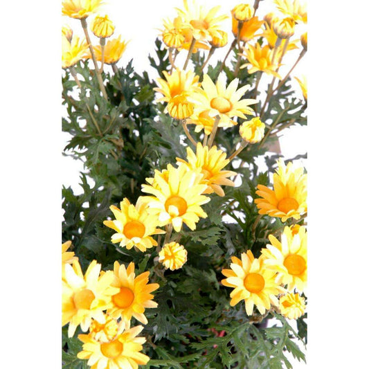 Plante artificielle Marguerite Anthemis - plante d'intérieur - H.40cm jaune