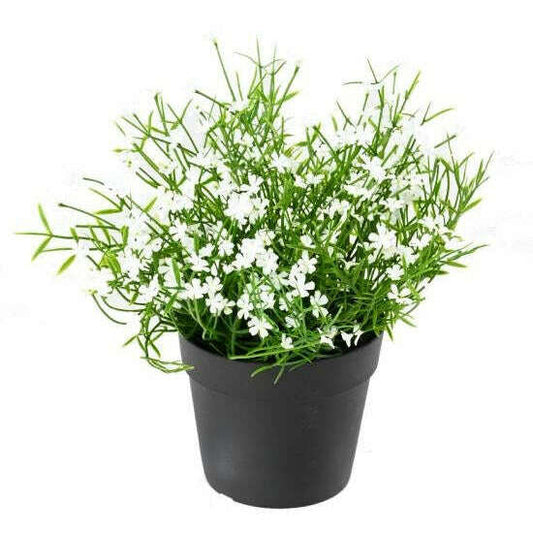 Plante artificielle Marguerite mini en pot - plante fleurie d'extérieur - H.20cm