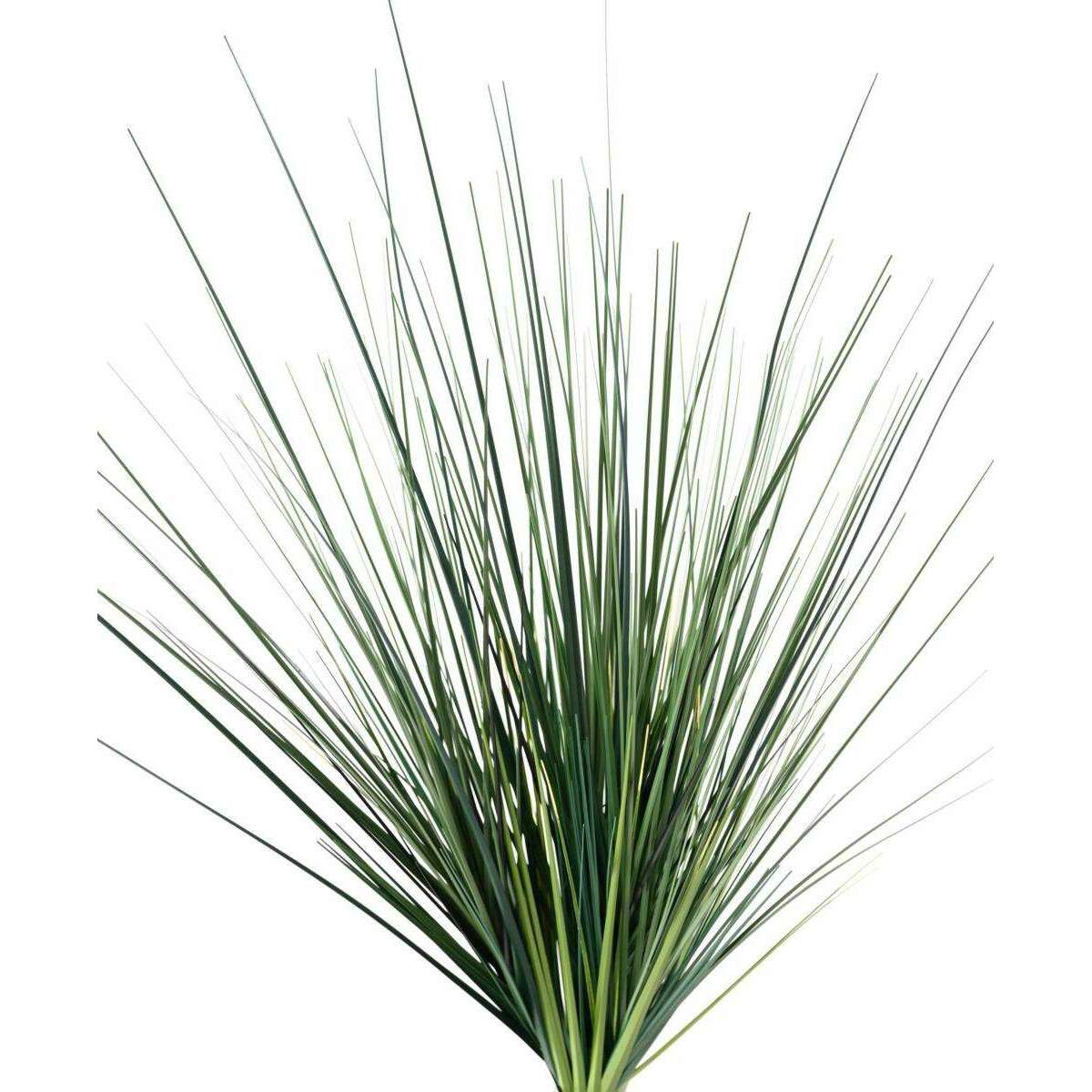 Plante artificielle Onion Grass en piquet large - plante pour intérieur - H.60cm vert