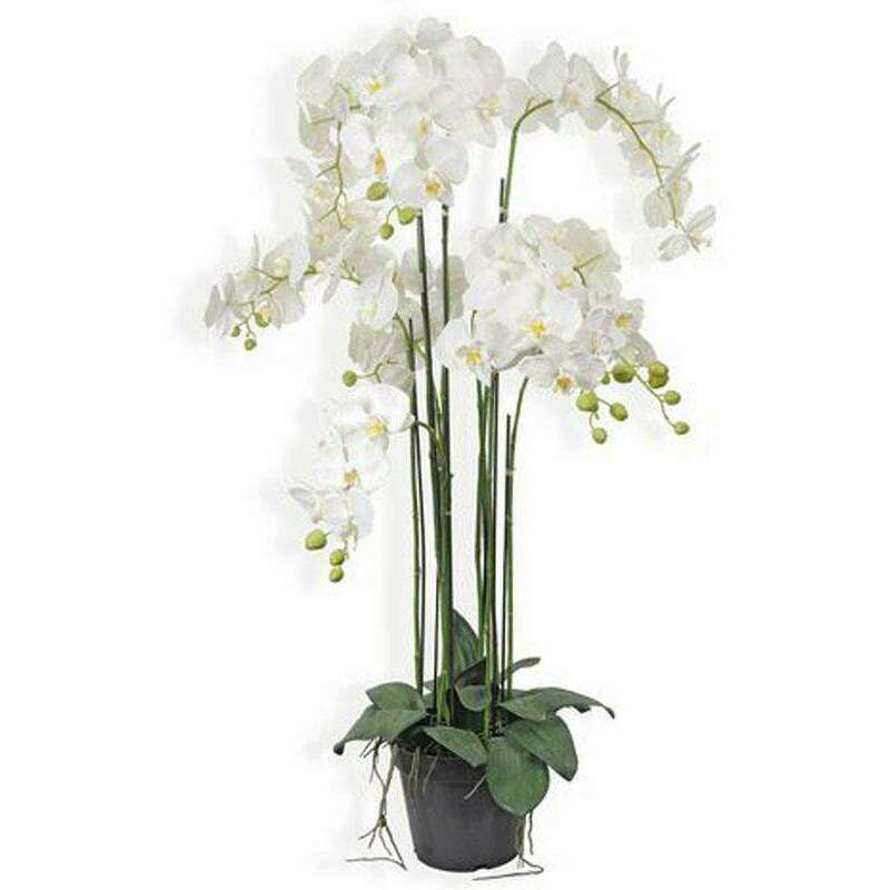 Plante artificielle Orchidée en pot - plante synthétique - H.115cm blanc