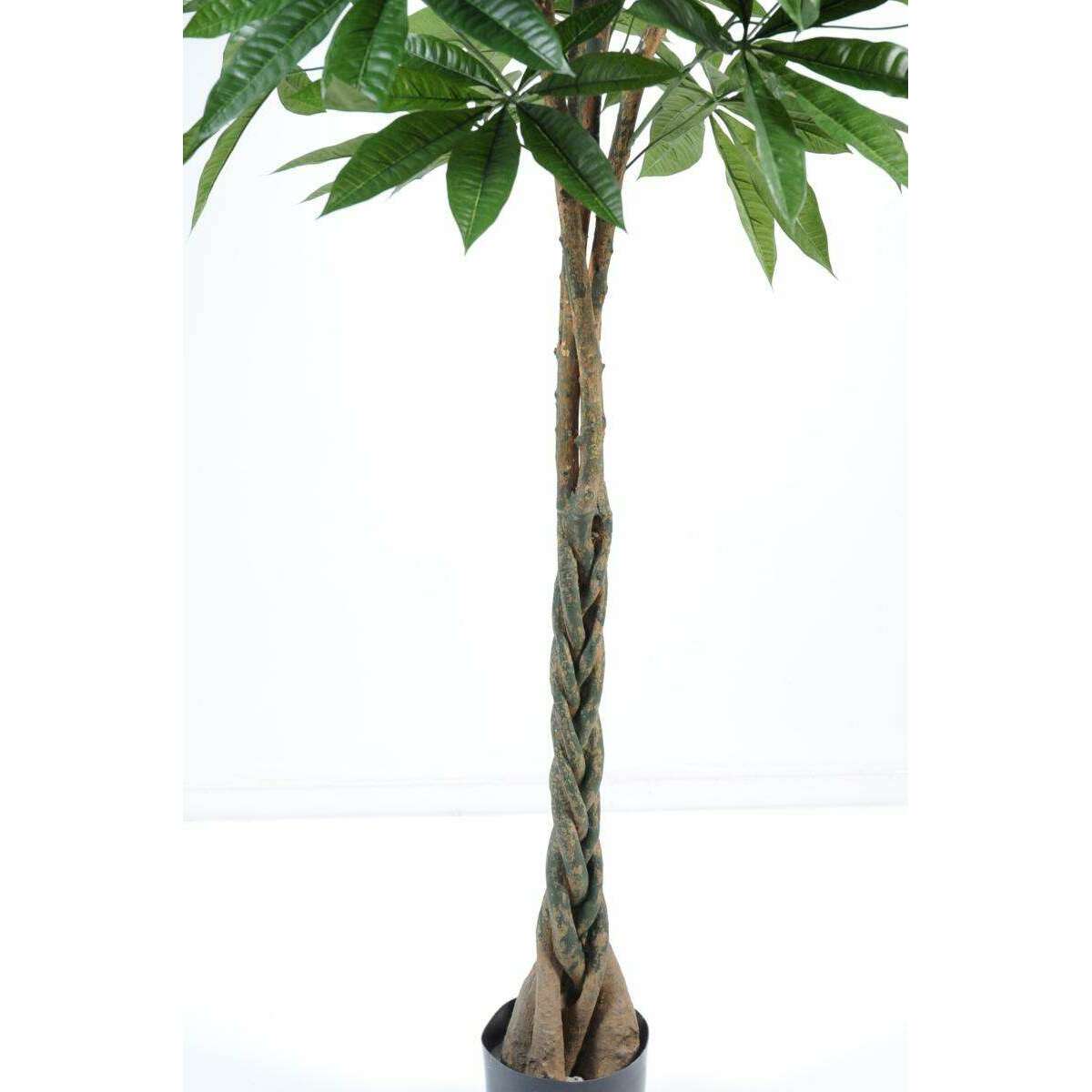 Plante artificielle Pachira tressé - arbre pour intérieur - H.150cm