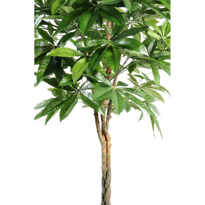 Plante artificielle Pachira tressé - arbre pour intérieur - H.150cm