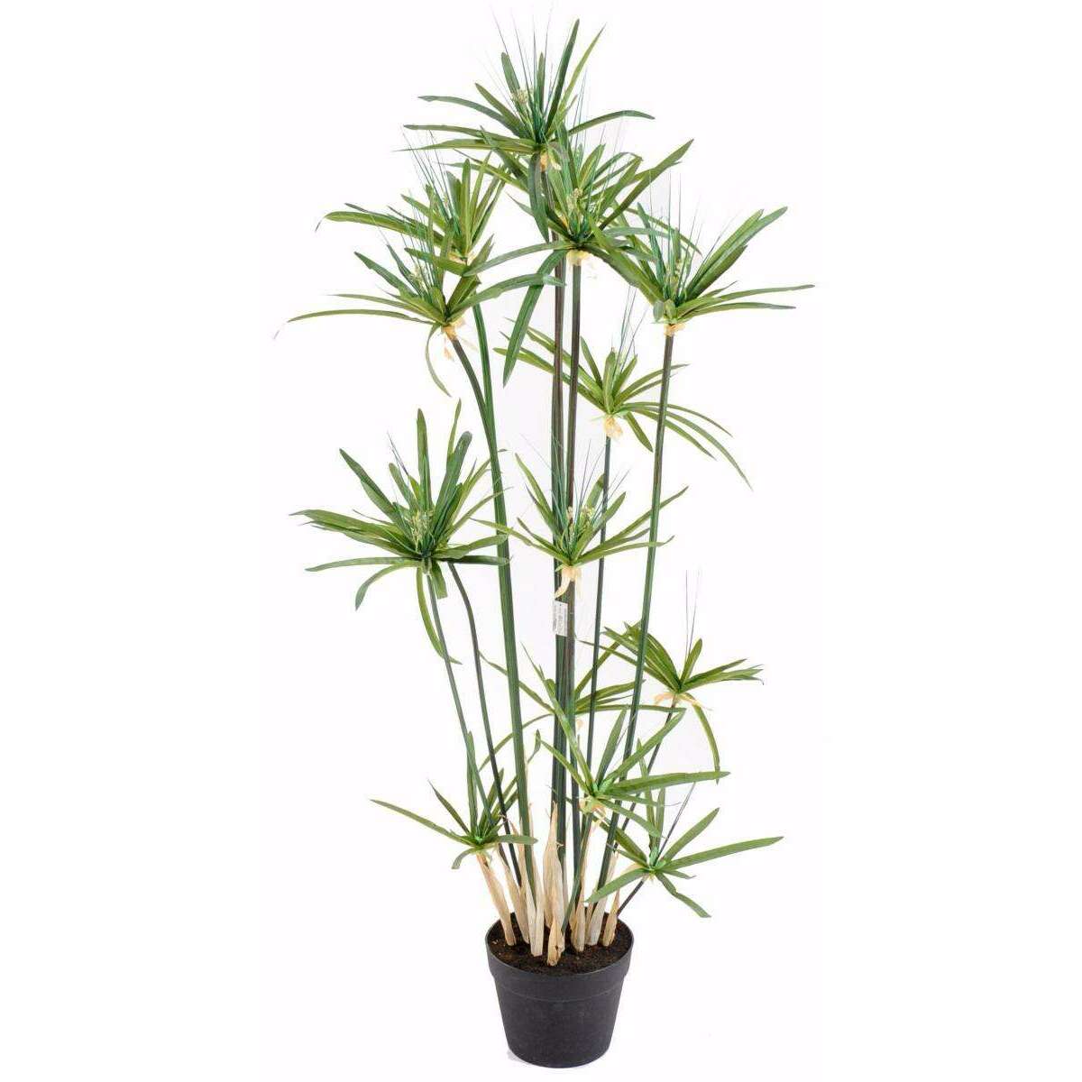 Plante artificielle Papyrus Alternifolius en pot - intérieur - H. 125cm vert