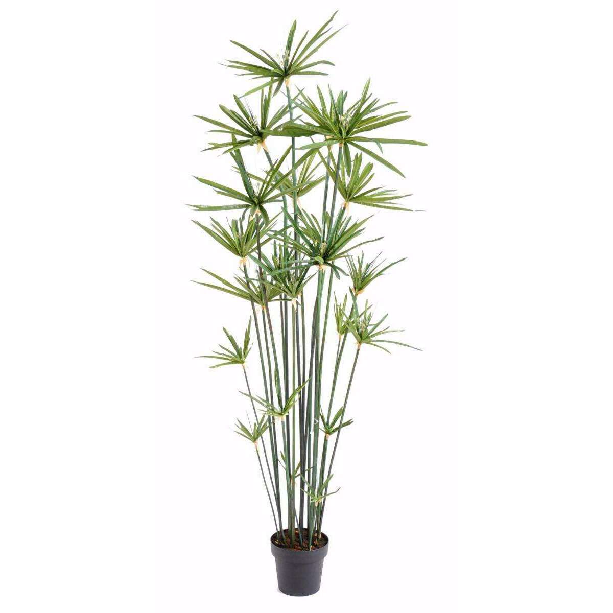 Plante artificielle Papyrus Alternifolius en pot - intérieur - H.180cm vert