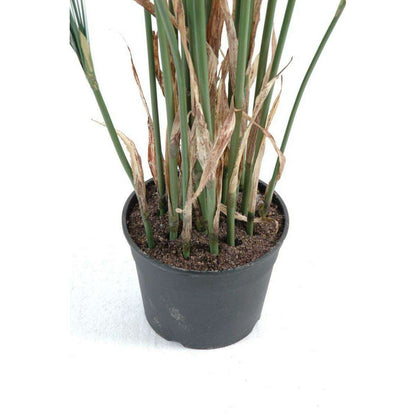 Plante artificielle Papyrus Cyperus du Nil en pot - intérieur - H. 125cm vert