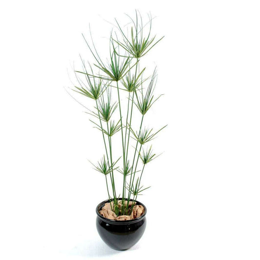 Plante artificielle Papyrus ornemental en pot - décoration d'intérieur - H. 140cm vert