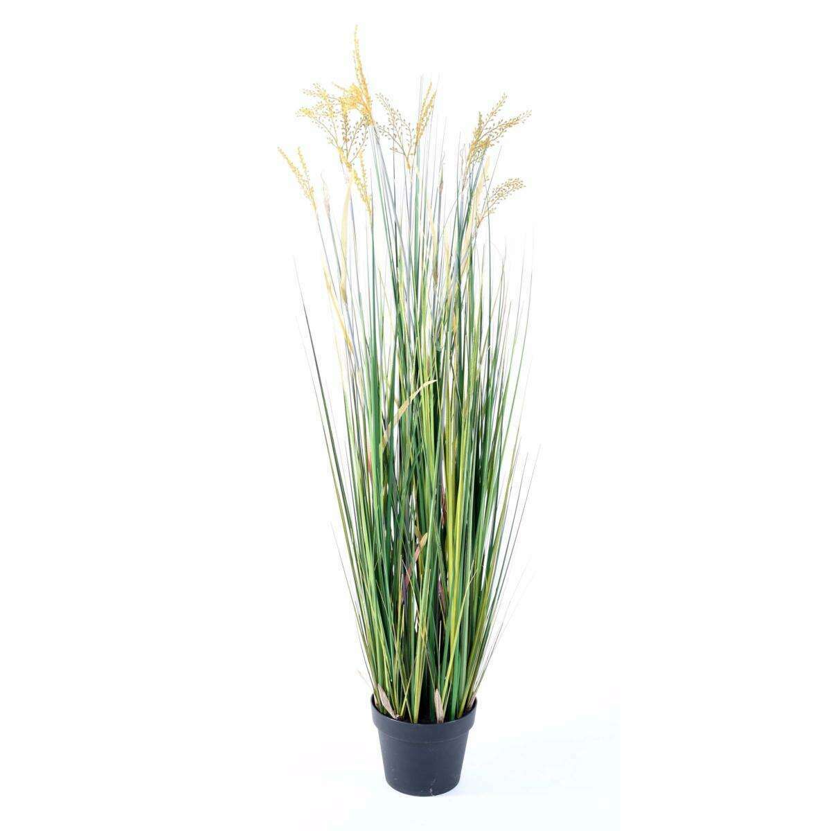 Plante artificielle Papyrus Scirpus Validus fleuri en pot - intérieur - H. 120cm