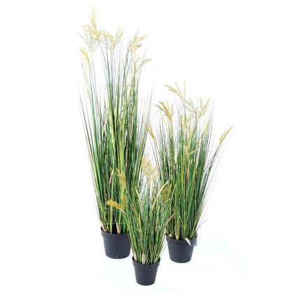 Plante artificielle Papyrus Scirpus Validus fleuri en pot - intérieur - H. 120cm