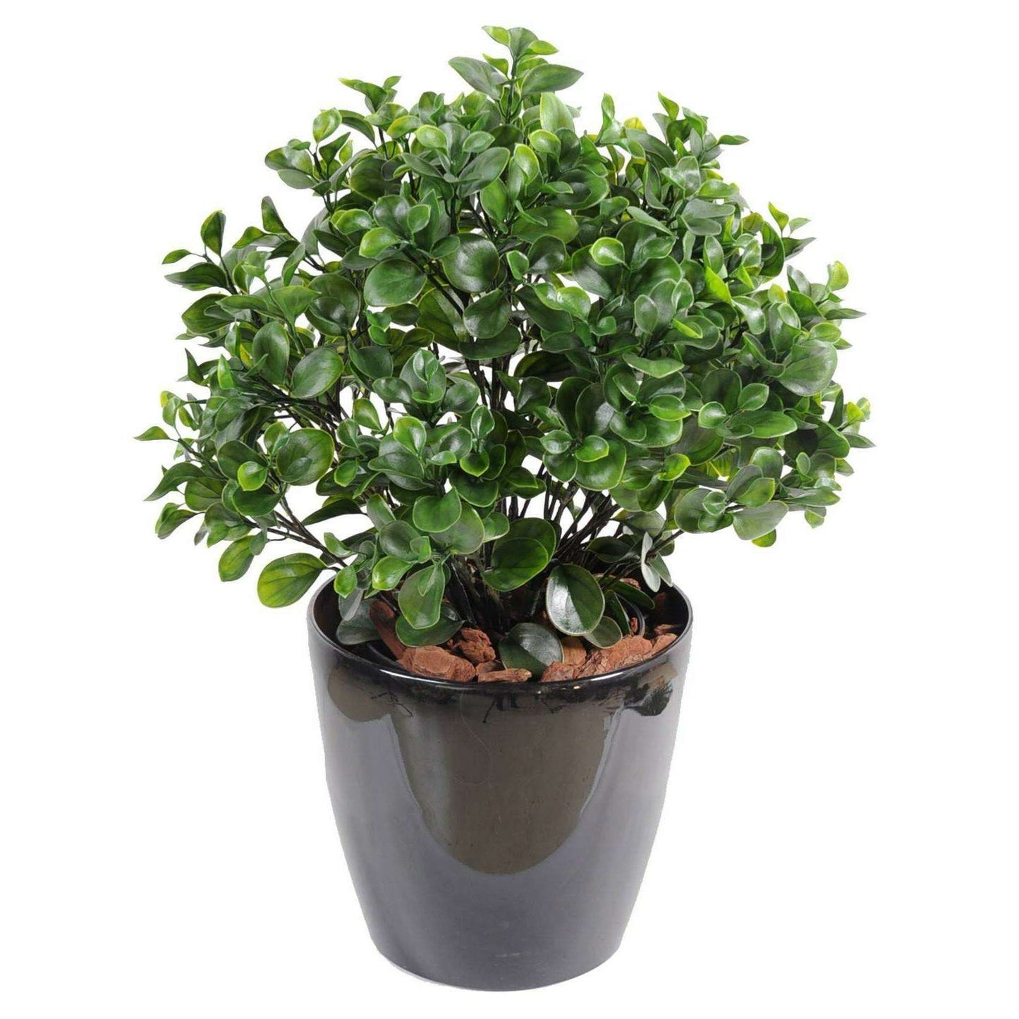 Plante artificielle Peperomia Plast Buisson - intérieur extérieur - H.60cm vert