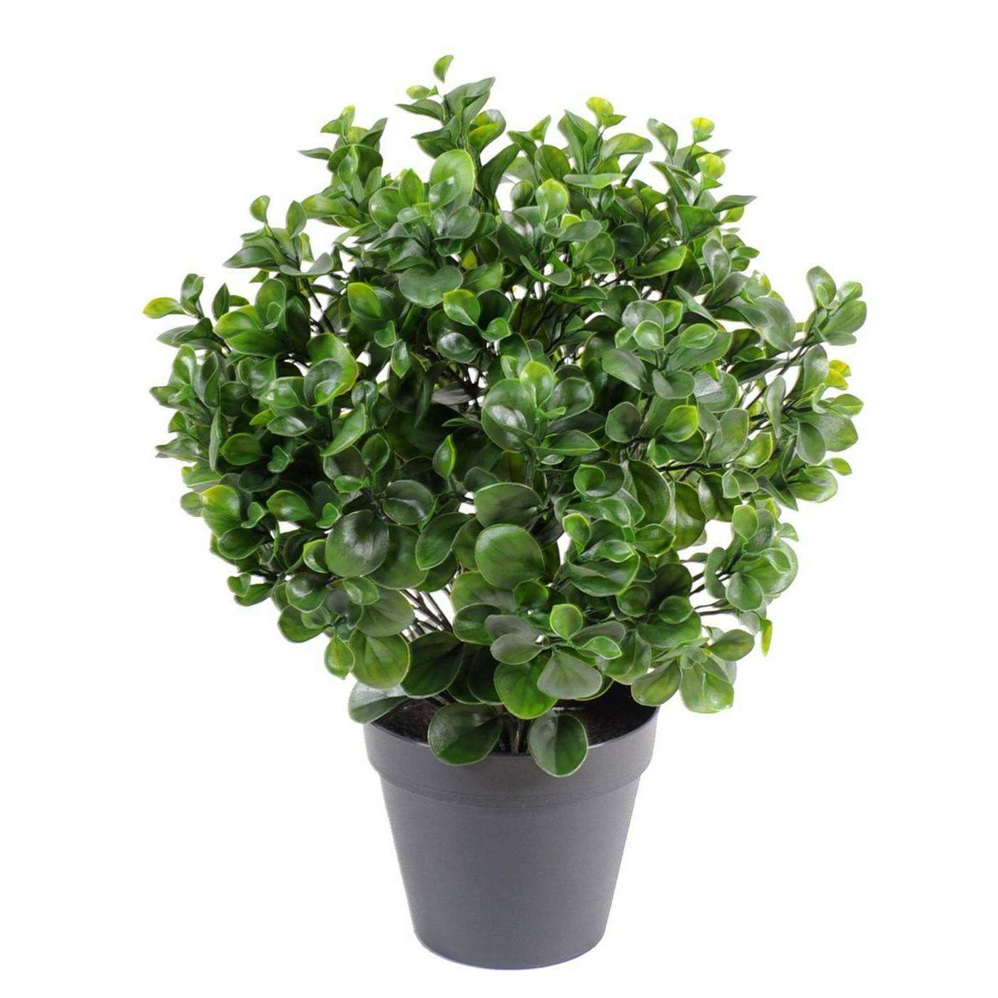 Plante artificielle Peperomia Plast Buisson - intérieur extérieur - H.60cm vert