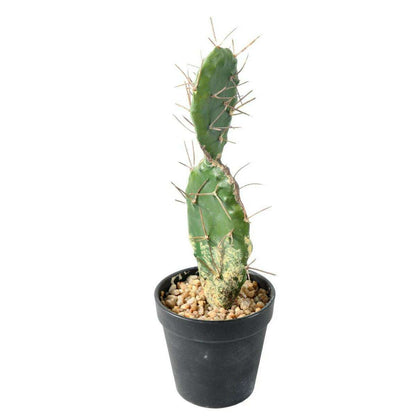 Plante artificielle petit Cactus plat- Plante pour intérieur - H. 34cm vert