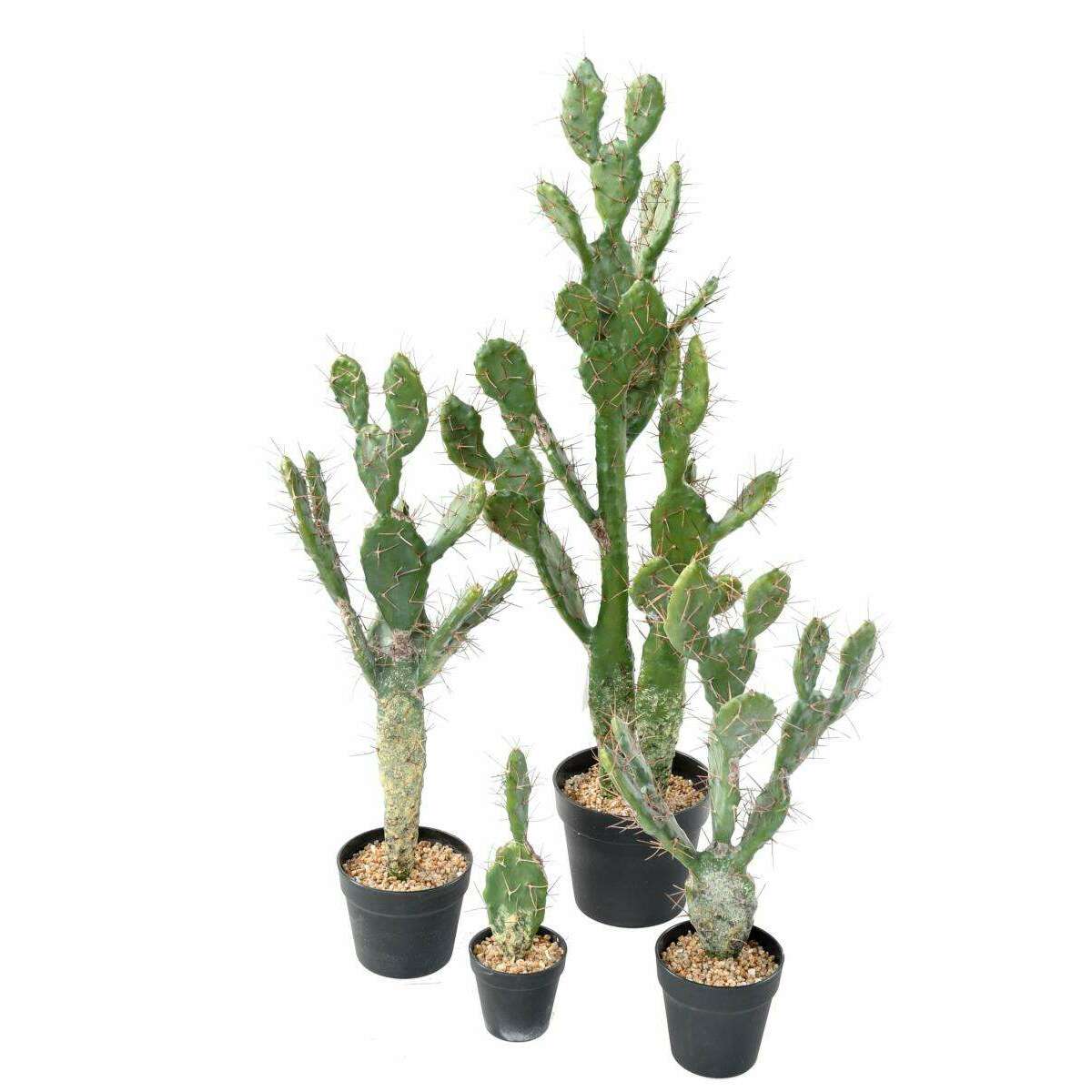 Plante artificielle petit Cactus plat- Plante pour intérieur - H. 34cm vert