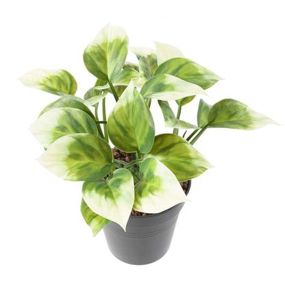 Plante artificielle Philo Bush en piquet - intérieur extérieur - H.25cm vert blanc