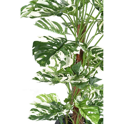 Plante artificielle Philodendron tuteur coco - plante d'intérieur - H.160cm panaché