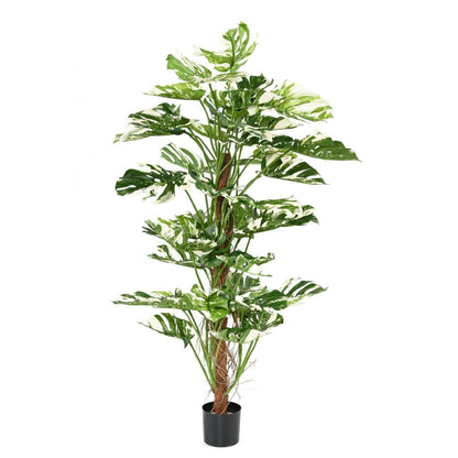 Plante artificielle Philodendron tuteur coco - plante d'intérieur - H.160cm panaché